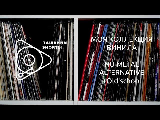 Моя коллекция винила