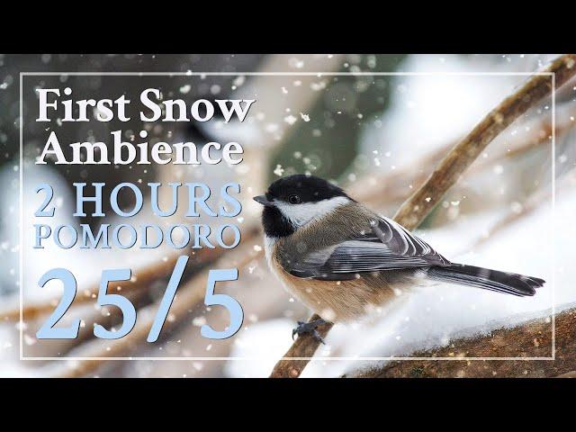 Pomodoro 25/5 - First Snow winter ambience: nature sounds for study, work, concentration