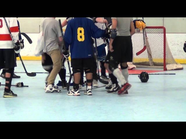 Ball Hockey Fights - Ball Hockey Brawls - TriCity Seekers vs. nWo (UFC + WWE Version - Raw)