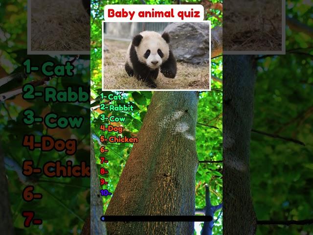 Can you guess these 10 baby animals? #quiz #trivia #animals #animal