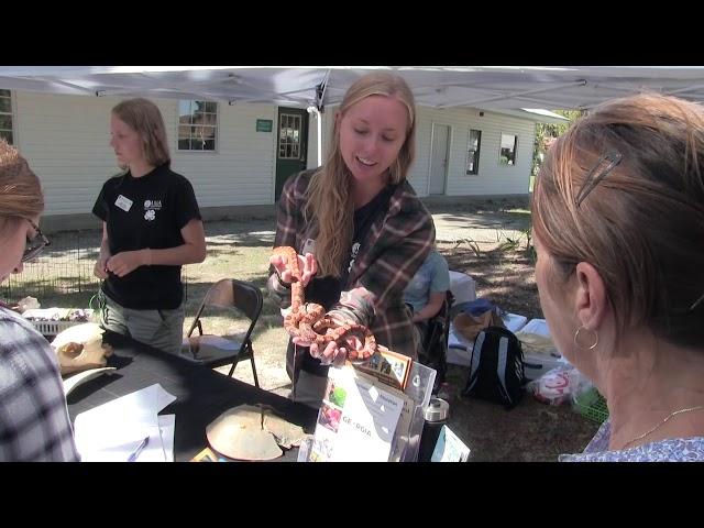 Skidaway Marine Science Day 2018