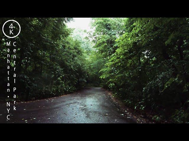 NYC Rainy Day in New York  - Central Park, Manhattan 4K