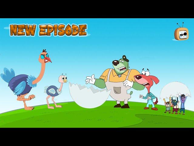 The Greatest Egg Chase | New Episode | Funny Cartoon |  S14_EP224B | Kids Cartoon | Chotoonz Tv.