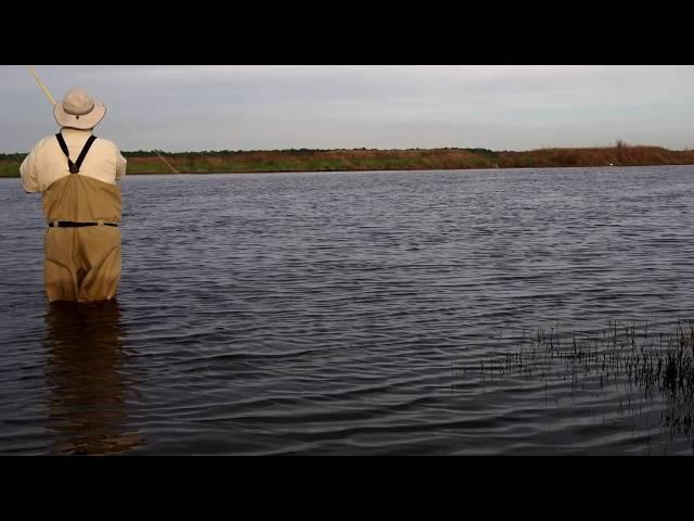 First Shad on the Single Hand Fly Rod of the Season- 2016