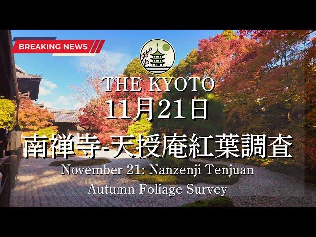 [News] The autumn leaves condition at Nanzen-ji and Tenjuan on November 21