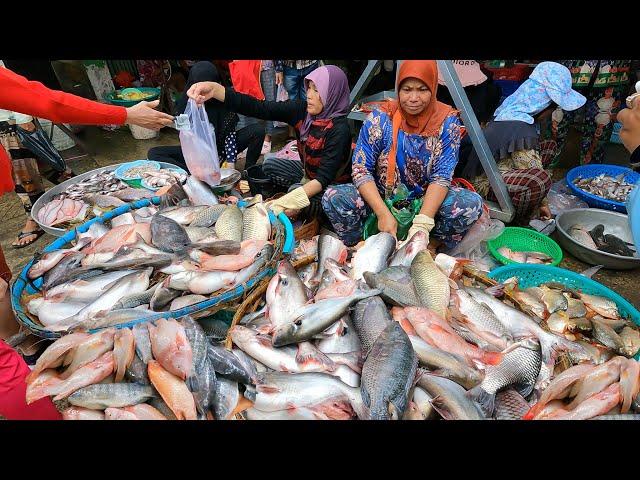 Wow ! Khmer Largest Food Supplies & Fish Market Scenes @Chbar Ampov Market - Food Market