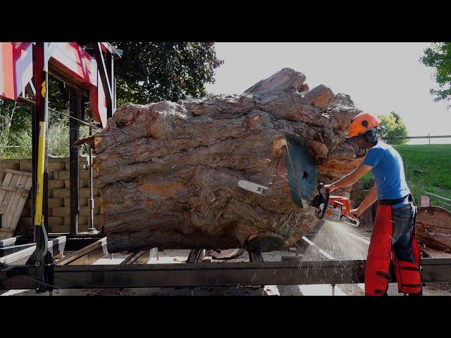 Sawing a Part of the Biggest Sugar Maple in New York | Sawmill