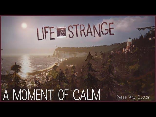Relax to 10 Minutes of the Life is Strange Main Menu