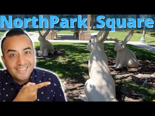 Bunnies! NorthPark Square - Best Neighborhood in Irvine CA?