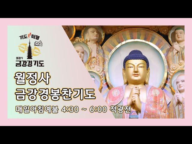 금강경 봉찬 새벽 온라인 기도 | 2024년 9월 24일 화요일 새벽 4:30~6:00