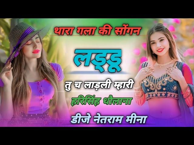 थारा गला की सोंगन लड्डू तु च लाड़ली म्हारी ॥ Harisingh Dholan Meena Geet Remix || DJ Netram Meena