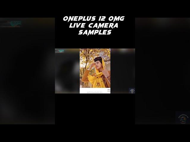 ONEPLUS 12 OMG - LIVE CAMERA SAMPLES