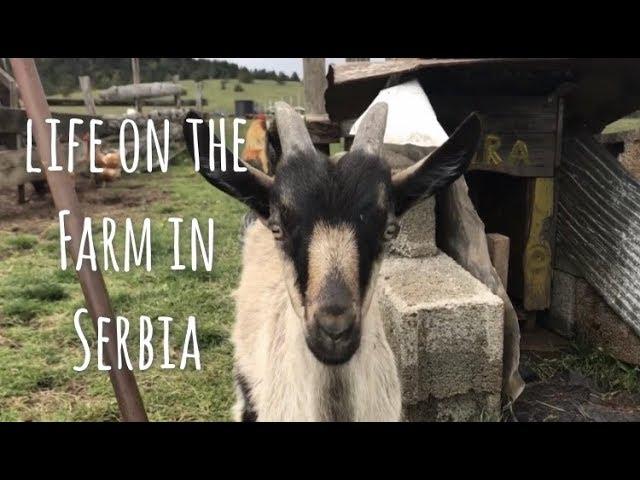 Life in Rural Serbia