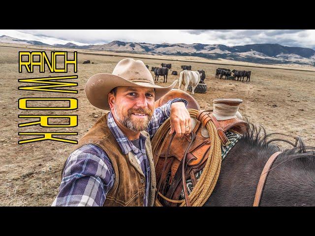 A Day in the Life of a SOLO Rancher - THIS AIN'T YELLOWSTONE