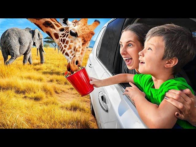 FEEDING WILD and RARE ANIMALS FROM OUR CAR?! 