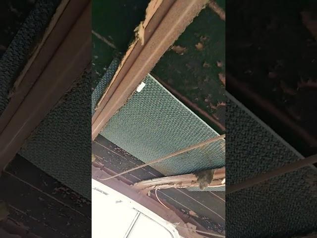 64 ss impala custom headliner from dollar tree  mats