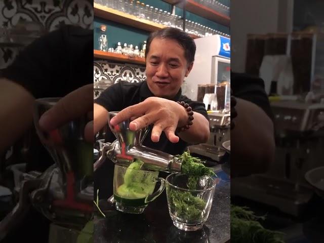 Nước Ép Cỏ Lúa Mì