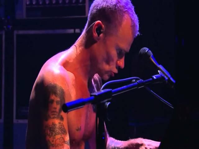 Red Hot Chili Peppers - Flea's Piano Solo - Live in Köln 2011 [HD]