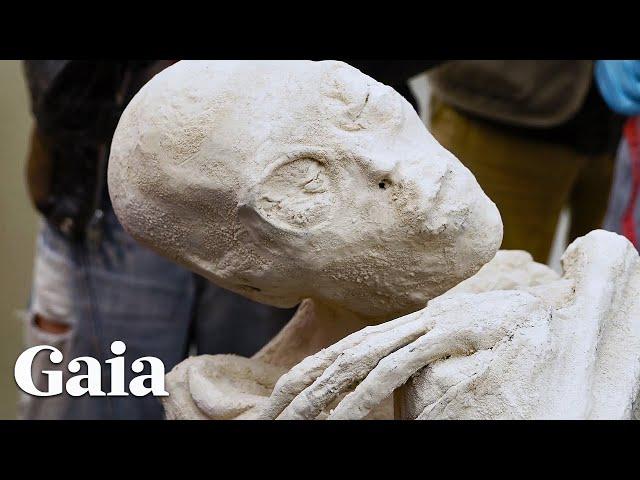 Special Report: Unearthing Nazca