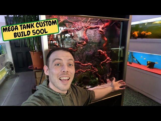 MEGA Tank Custom Build 500L, Delivery Day Unboxing (Snake Island Exotics)