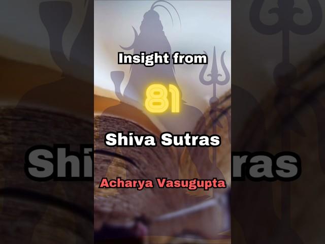 Shiva Sutras- Insight 81