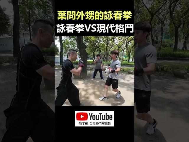 【詠春拳 VS 踢拳擊】公園直接開打｜葉問外甥系統的詠春拳 王兆羽武術學院