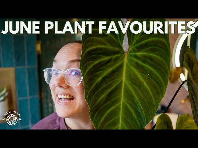 Fav plants of June | Plant with Roos