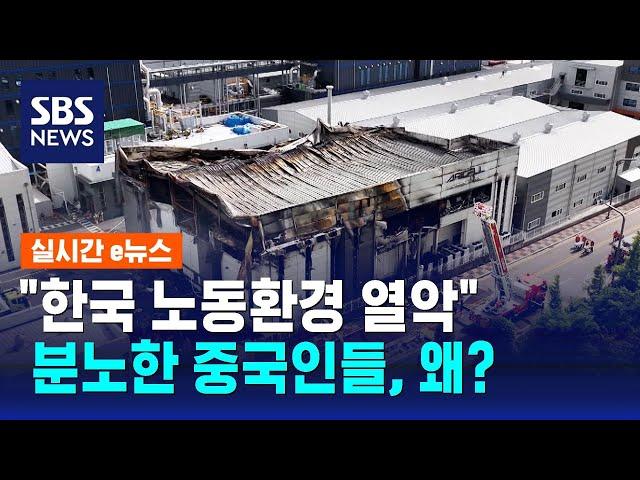 "한국 노동환경 열악" 보도에…중국인들 분노한 이유 / SBS / 실시간 e뉴스