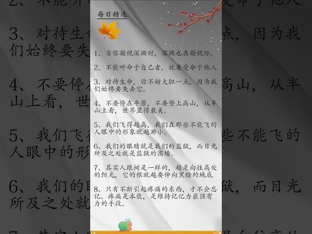 “灵魂的交响：尼采的哲学启示”