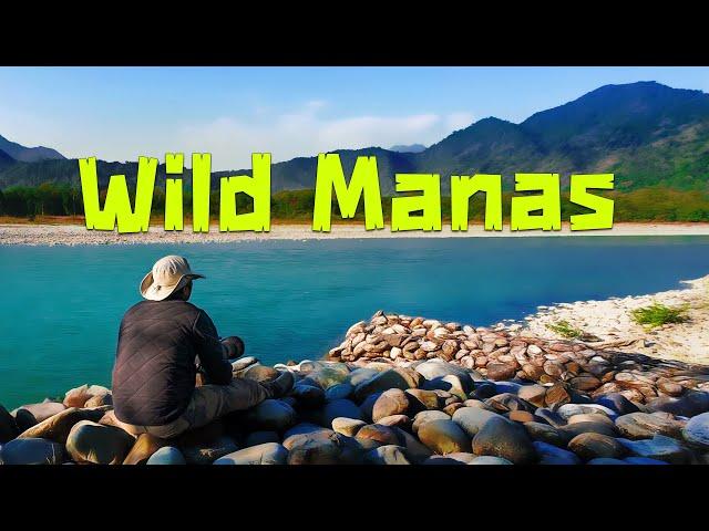 Manas National Park Safari Expereince - 4K Video Hindi | हिन्दी