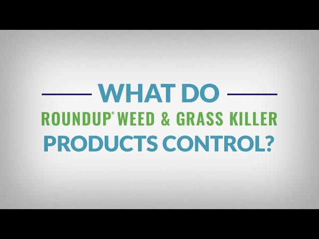 Learn the Basics of Roundup® Weed & Grass Killer Products - What Do They Control?