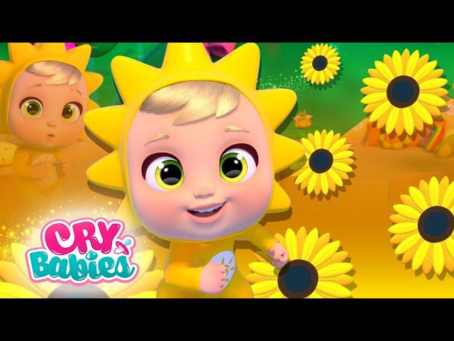  SUNNY THE HAPPIEST  LITTLE CHANGERS ️ ECO Series ️ COLLECTION  CARTOONS for KIDS in ENGLISH