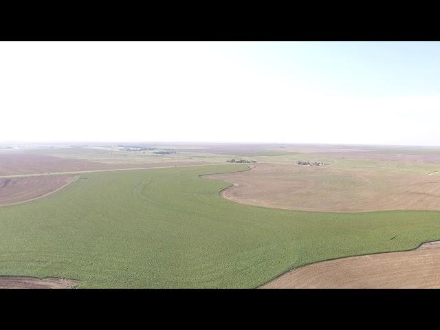 400 Acres in Ford County, KS 40 sec