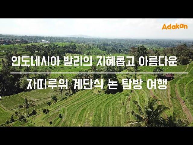 인도네시아 발리의 지혜롭고 아름다운 자띠루위 계단식 논 탐방 여행