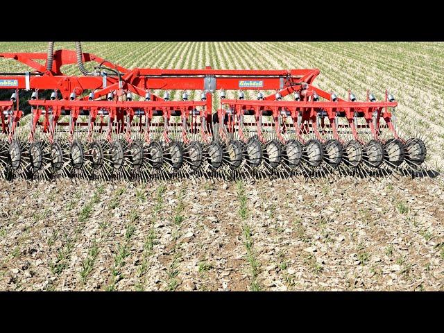 rotative weeder - EINBÖCK AEROSTAR-ROTATION (NEW VERSION OF VIDEO AVAILABLE)