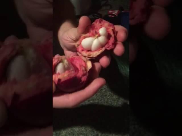 How to open a mangosteen by George Zissimos, the fruit lover