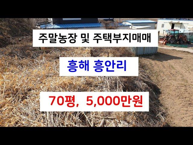 295  흥안리 주말농장매매 대가 조금 높아 멀리 보이는 위치 흥해주택부지매매 흥안리 주택부지매매 포항주말농장매매 포항주택부지매매 포항부동산 흥해부동산 지목부동산