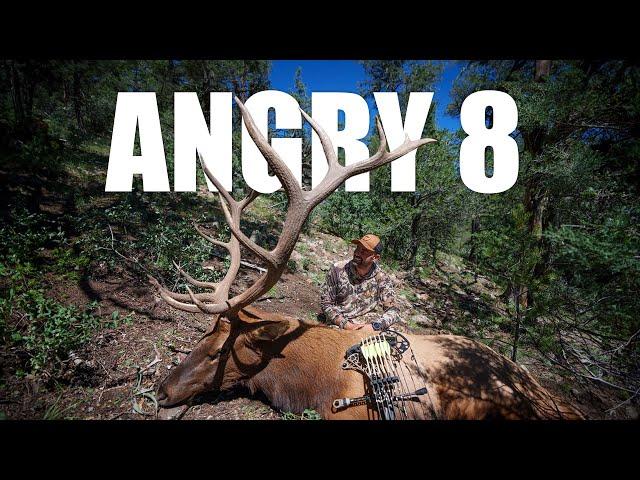 Angry 8 I Archery Elk Hunt