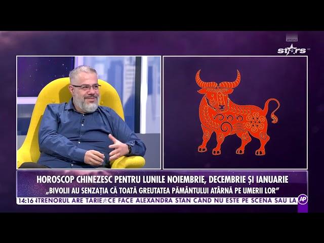 Ce îți rezervă astrele pentru lunile noiembrie, decembrie și ianuarie | Șobolan, bivolul, tigrul, și