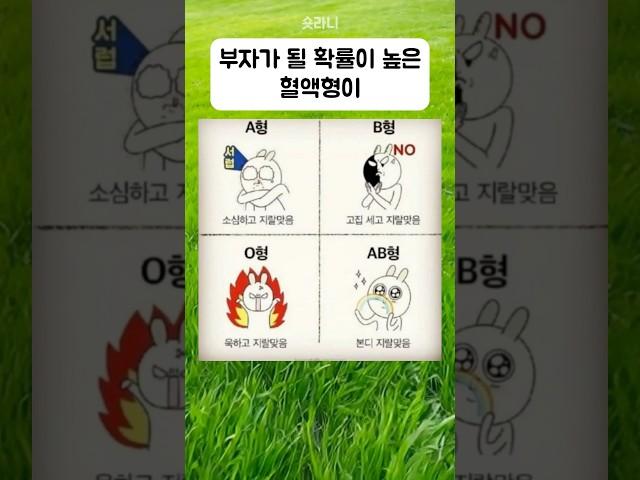 부자가 될 확률이 높은 혈액형이 있다고? 테스트