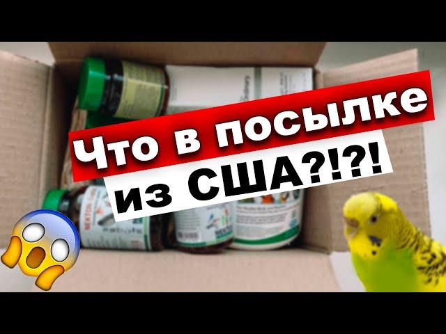 Лучшие витамины для попугая Nekton! Какие витамины нужны попугаю. Benebac Бенебак