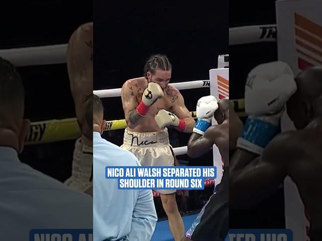 HEART OF A WARRIOR. #nicoaliwalsh #boxing #boxinghighlights