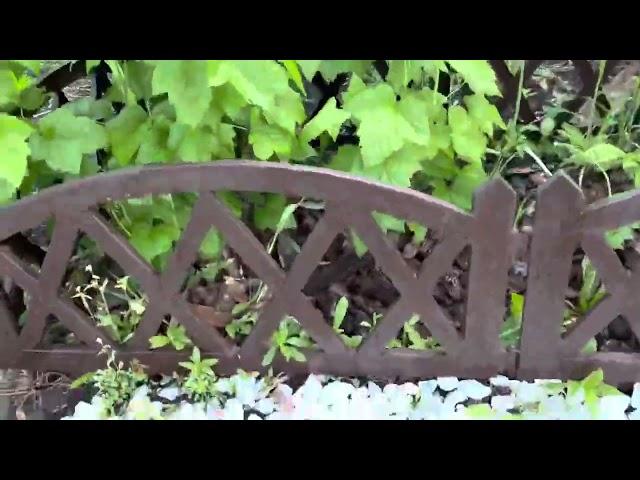 Мой мини город с Wildberries. Показываю удачные покупки для сада и огорода