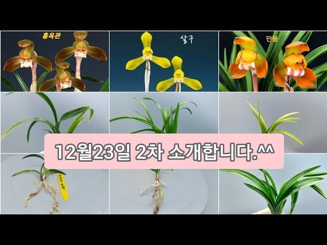 12월23일 2차 종자목 입실하세요 ^^