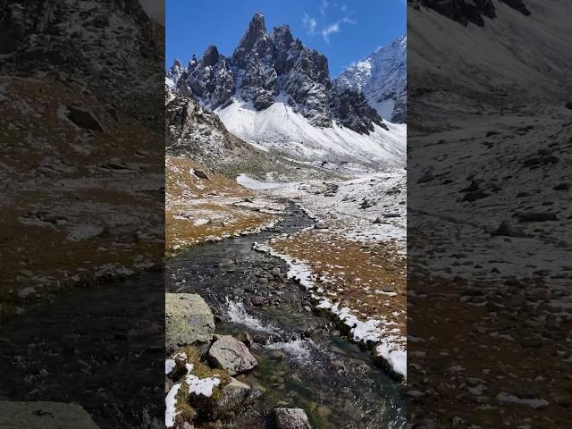 Buzul Göllerin Berrak Sularında Kırmızı Benekli Alabalık ️ - red-spotted trout in glacial lakes