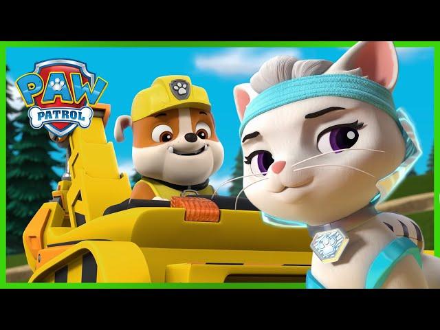 Episodi di PAW Patrol Moto Pups e Cat Pack - PAW Patrol I cuccioli Episodi Italiano