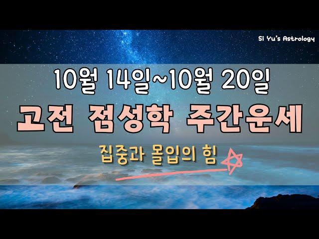 ⭐주간운세⭐24년 10월 셋째 주_집중과 몰입의 힘