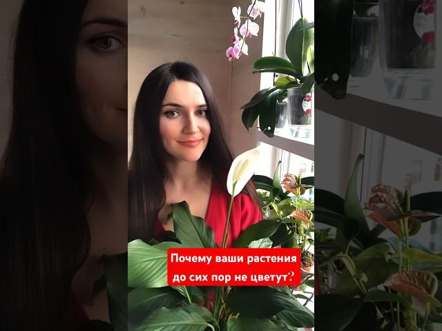 ПОЧЕМУ ВАШИ РАСТЕНИЯ ДО СИХ ПОР НЕ ЦВЕТУТ?