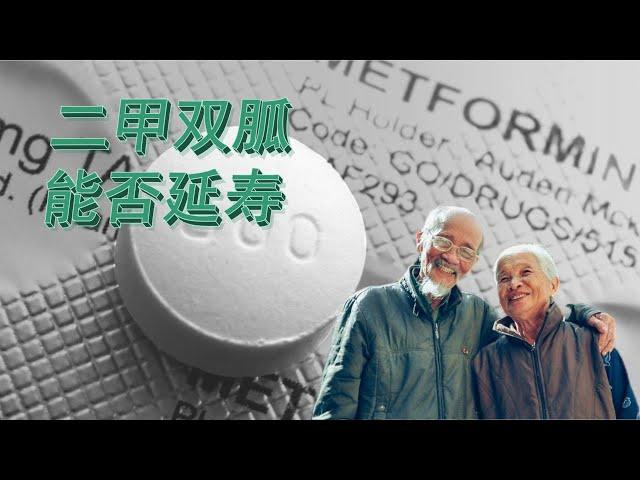 Can Metformin Help You Extend Your Healthy Lifespan?