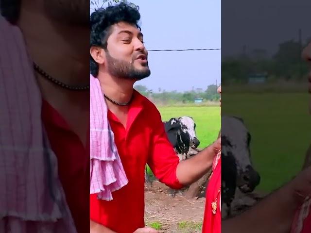 Vikash Jha VJ New Maithili Song 2021